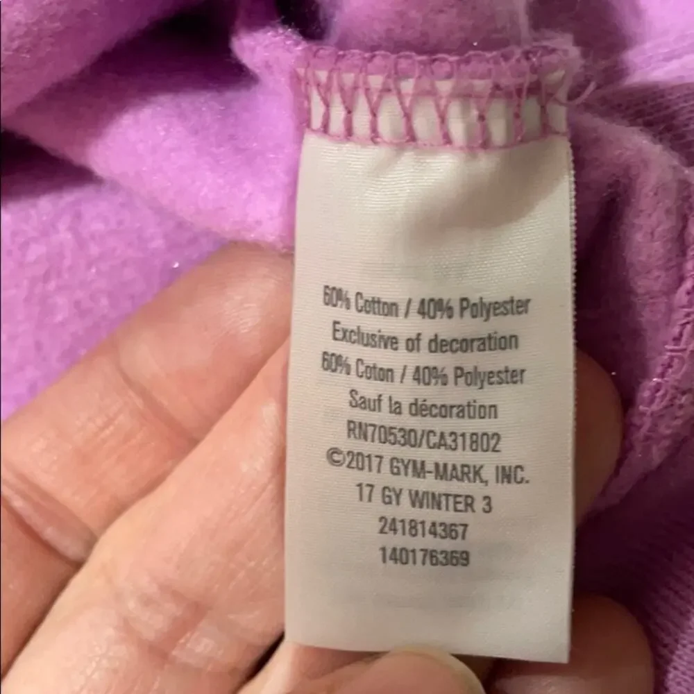 Gymboree 4 lavender sweatshirt crown dress euc